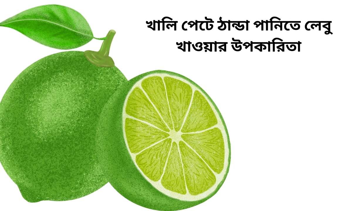 খালি পেটে ঠান্ডা পানিতে লেবু খাওয়ার উপকারিতা