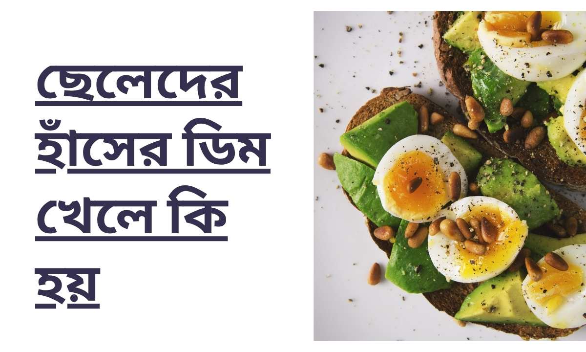 ছেলেদের হাঁসের ডিম খেলে কি হয়