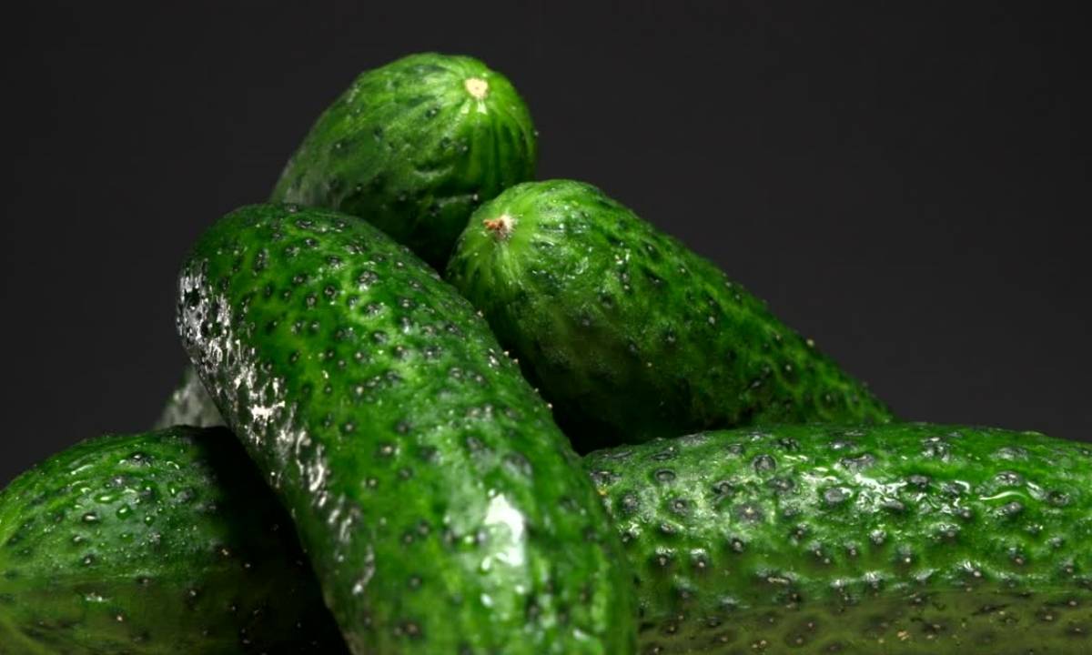 প্রতিদিন একটা শসা কেন খাবেন