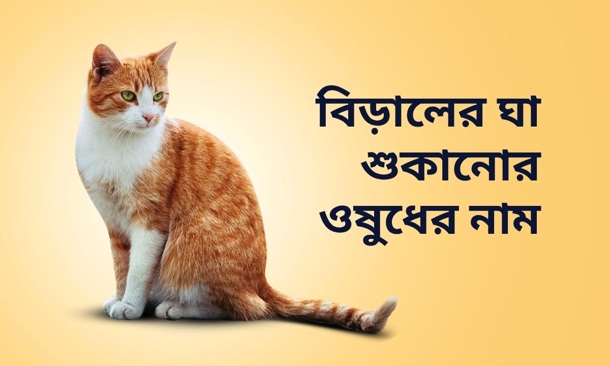 বিড়ালের ঘা শুকানোর ওষুধের নাম