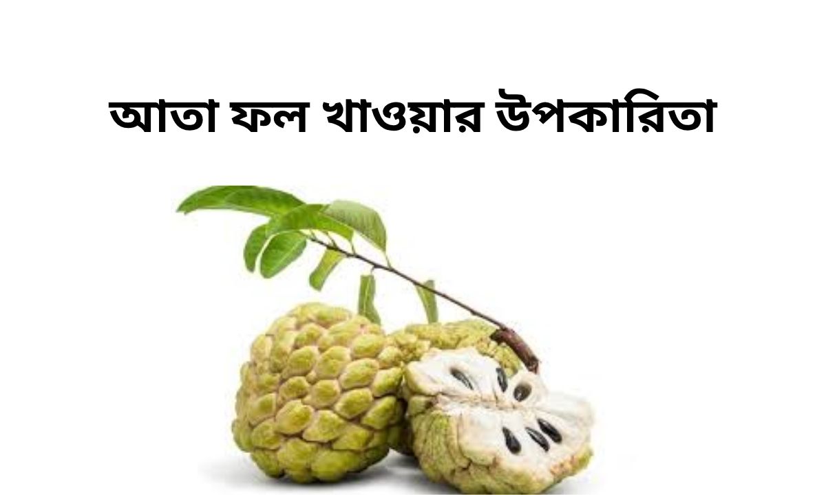 আতা ফল খাওয়ার উপকারিতা